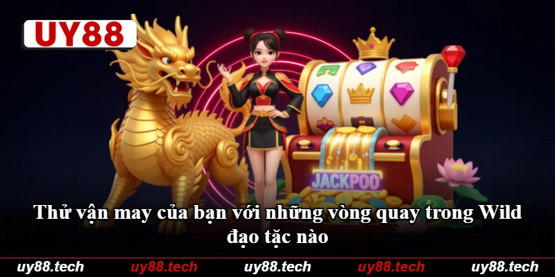 Thử vận may của bạn với những vòng quay trong Wild đạo tặc nào